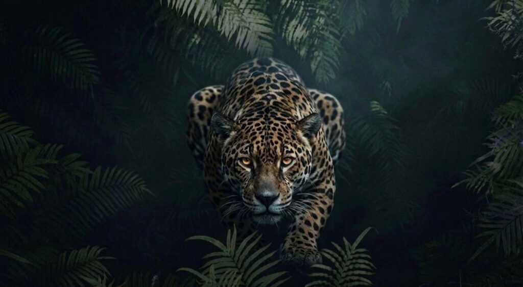 Encuentro Misionero: el poder, ayer y hoy, sigue estando en la gente